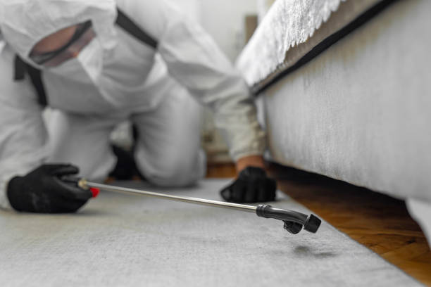 Professional Bed Bug Control technician working in Lee County County, GA